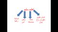 تصغير للنسخة بتاريخ ٢٠:٤٩، ١٨ أغسطس ٢٠٢٠