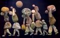 تصغير للنسخة بتاريخ ٠٣:٣١، ١٣ فبراير ٢٠٢٢